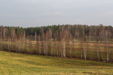 autumn landscapes with clouds, fields and forests