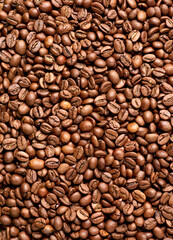 coffee bean brown roasted caffeine espresso seed