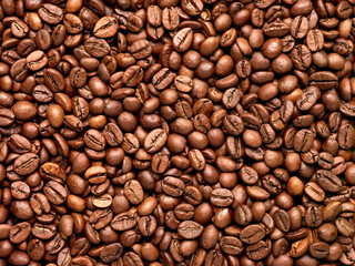 coffee bean brown roasted caffeine espresso seed