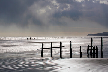 Groynes on Winchelsea Beach to stop the continual erosion caused by the tides and weather - three...