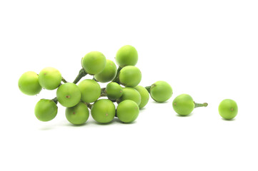 Green pea eggplant or turkey berry isolated on white background.