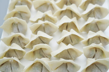 Traditional Chinese food wonton is placed on a white background