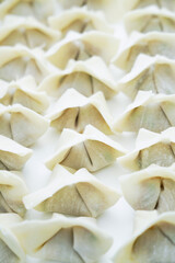 Traditional Chinese food wonton is placed on a white background