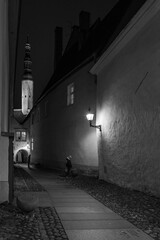 Old Tallin at Night in black and white