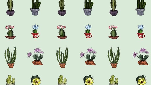 cacti doodle drawings background image video