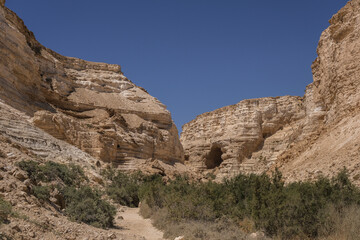Fototapeta na wymiar Ein Avdat National Park entrance into the deep canyon, carved by Zin streem, located at the foot of Midreshet Ben Gurion in Kibbutz Sde Boker, Negev desert, Israel.