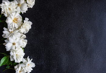 Fototapeta na wymiar Frame with white rose flowers