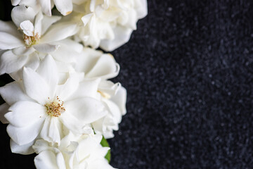 Frame with white rose flowers