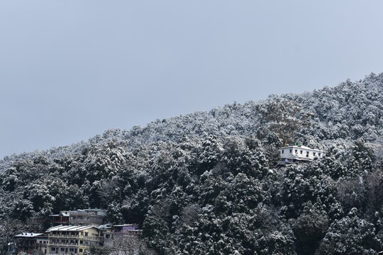 Beautiful snow picture in nainital uttarakhand