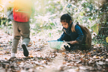 Summer camp. little cute  girl catching butterflies and bugs with her scoop-net. Asian and american african girl catch insects in the forest on advanture camping travel trip