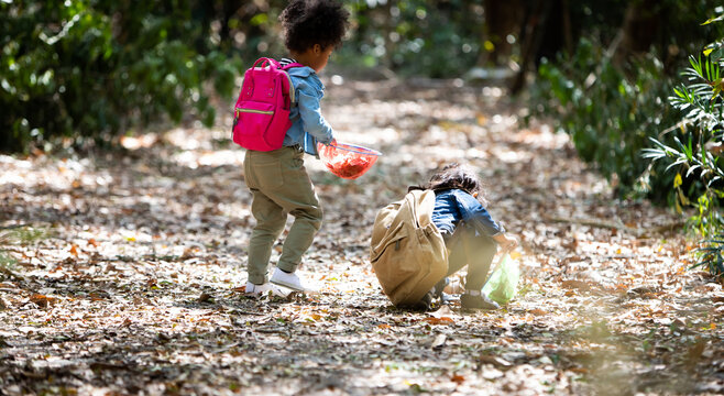 Summer camp. little cute  girl catching butterflies and bugs with her scoop-net. Asian and american african girl catch insects in the forest on advanture camping travel trip
