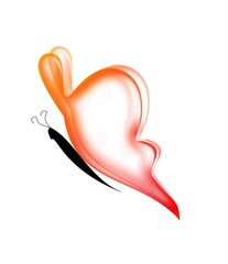 orange, red and white butterfly on a white background