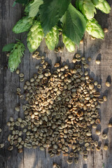 Hop twigs  and green coffee beans  over wooden cracked table background. Vintage toned. Beer ingredients.