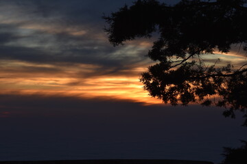 Fototapeta na wymiar Beautiful picture of sunset and tree branch in nainital uttarakhand india