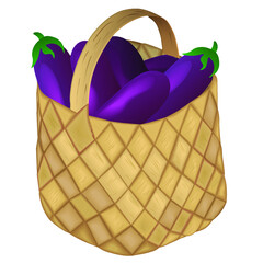 Full wicker basket with eggplant on a white background. Vector illustration