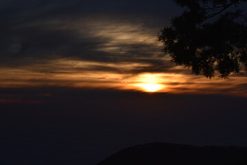 Fototapeta na wymiar Beautiful picture of sunset and tree in nainital uttarakhand