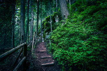 Wooden stairway in the mountain, dangerous place. Extreme travelling at the mossy forest. Pathway in a rock rift.