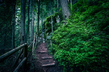 Selbstklebende Fototapeten Waldweg Wooden stairway in the mountain, dangerous place. Extreme travelling at the mossy forest. Pathway in a rock rift.  © Alice Fox