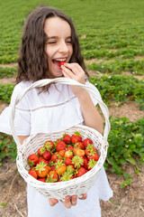 Adorable girl eating fresh organic strawberry. Holding white basket with berries harvest. Summer joy healthy eating treats at local farm berries field.  Vertical composition. Eco growing 