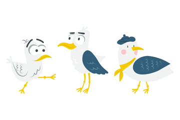 Colorful seagull bird vector illustration. Sea gull icon in flat design. Seabird isolated on white background.