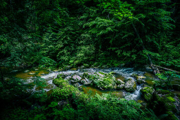 Amazing nature, mountain river in the mossy cave. Balkan forest, rift in rock, travelling, waterfall creek.