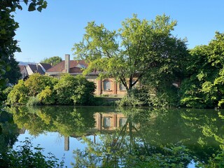 Fototapete bei efototapeten.de bestellen   