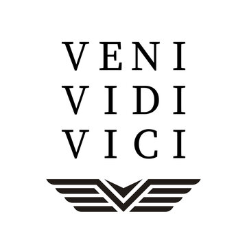 Latin quote Veni, vidi, vici on stone background, 3d
