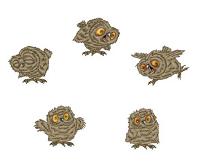 Owls in different variations for design. Isolated illustration on a white background.
