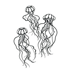 Jellyfish SVG. Jellyfish drawing.