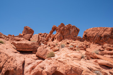 Obraz premium A wide view of Elephant Rock, a unique red rock formation on the side of the Valley of Fire Highway located in the Valley of Fire Sate Park in Nevada (USA), on a clear blue sky. 