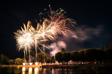 Fireworks in the night sky