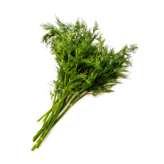 Bunch fresh green dill isolated on white background