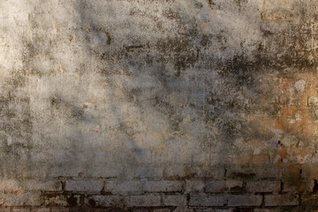 Textured brick wall with branch shadows
