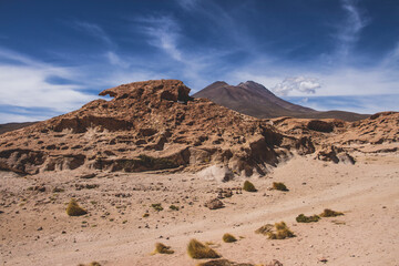 desert in the desert