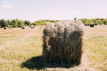 hay stack. Hay stack backgound. Hay field.
