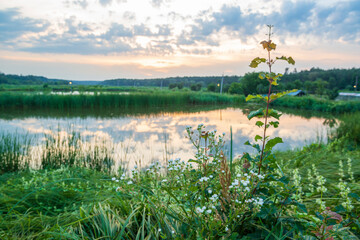 Fototapeta premium Sunset on the lake.