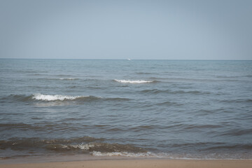 surfing the waves