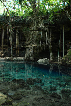 Stunning Cenote Xbatun that has the most clear waters of all cenotes in Yucatan, Riviera Maya, Mexico