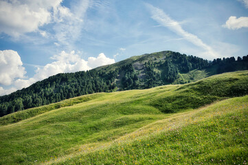mountain landscape in summer