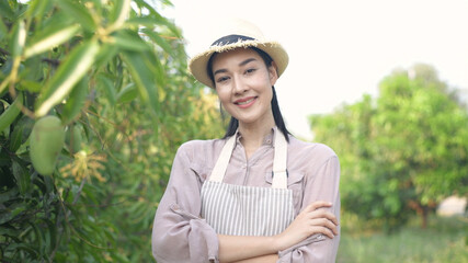 Agricultural concepts. Asian women are confident in mango farms. 4k Resolution.
