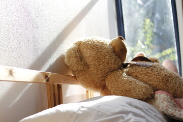 teddy bear in a bed