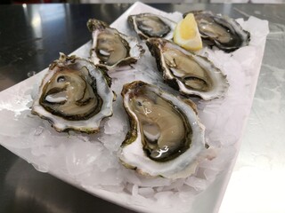 Oysters on crushed ice served at market