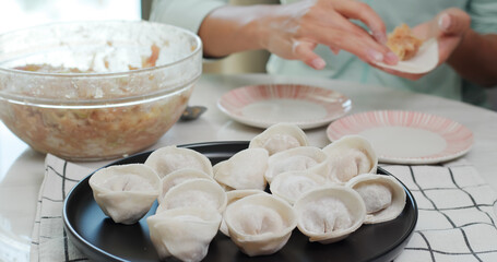 Fototapeta na wymiar Woman making meat dumpling at home