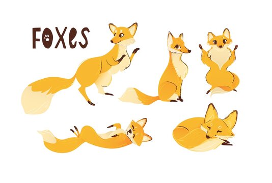Set of cute cartoon foxes the wild animals cartoon vector illustration isolated.