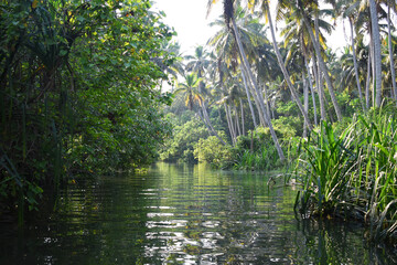 Fototapeta premium Calm Backwaters