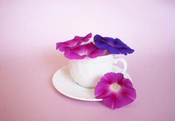 white cup with flowers inside stands on a saucer