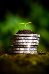 Green Sprout on top of stack of euro coins on moss