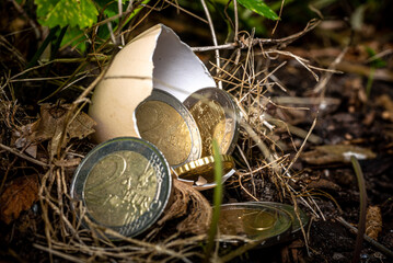 euro coins inside and outside of a hatched egg shell
