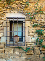 Fototapeta na wymiar old wall with window and ivy