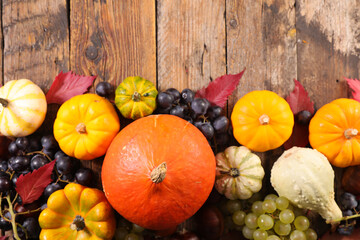 set of pumpkin, gourd and grapes- autumn fruits and vegetables